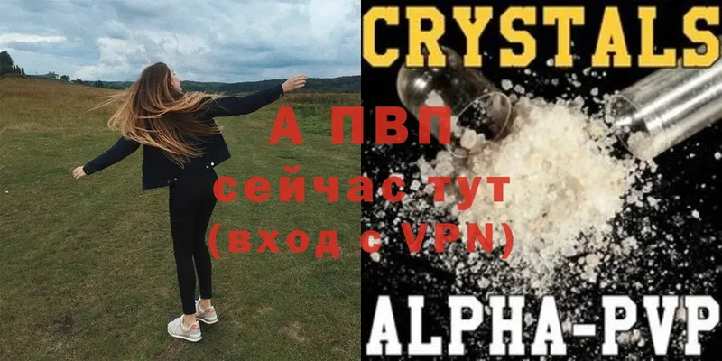 A PVP крисы CK  Гусиноозёрск 